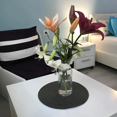 Szálloda White Rose Guest 2*