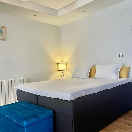 Hotel White Rose Guest