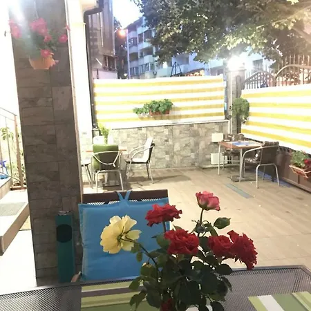White Rose Guest Burgasz