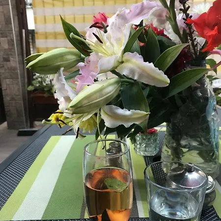 White Rose Guest 2* بورغاس