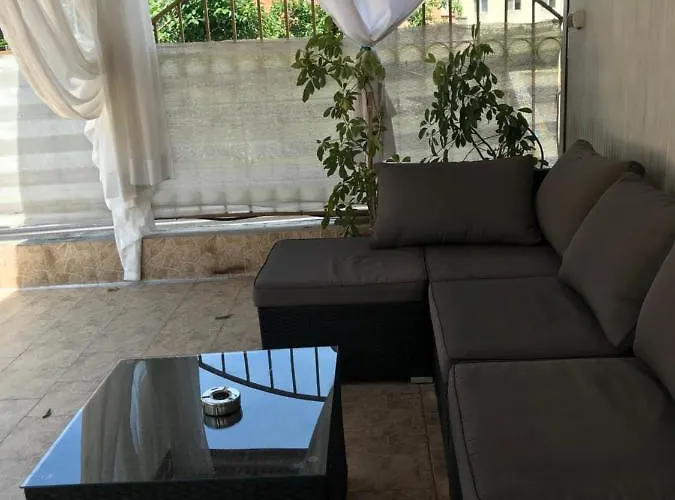 Hotel White Rose Guest 2*