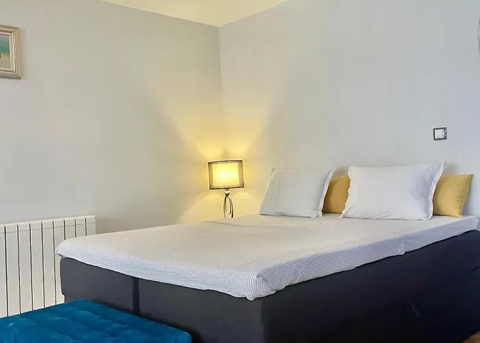 Hotel White Rose Guest