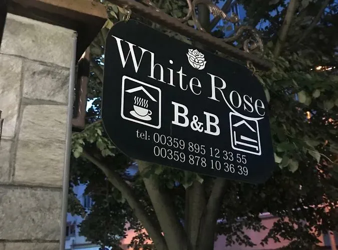 White Rose Guest Hotel Burgas City