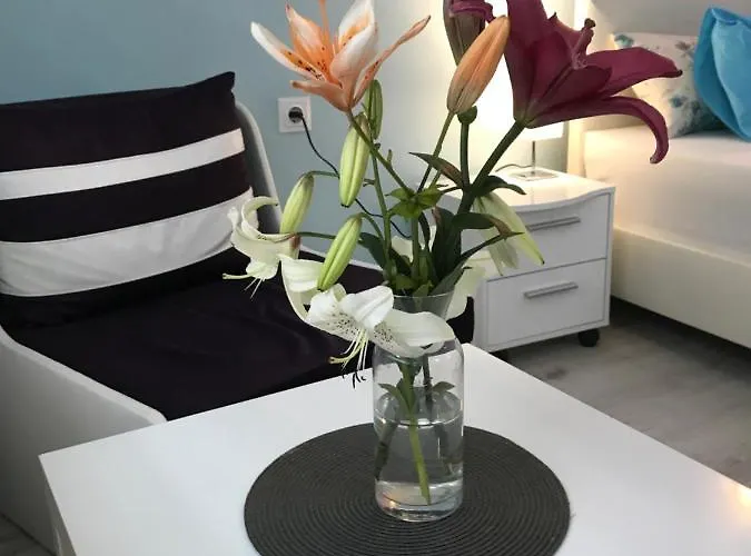 Hotel White Rose Guest 2*