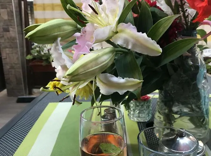 White Rose Guest 2* Burgas City